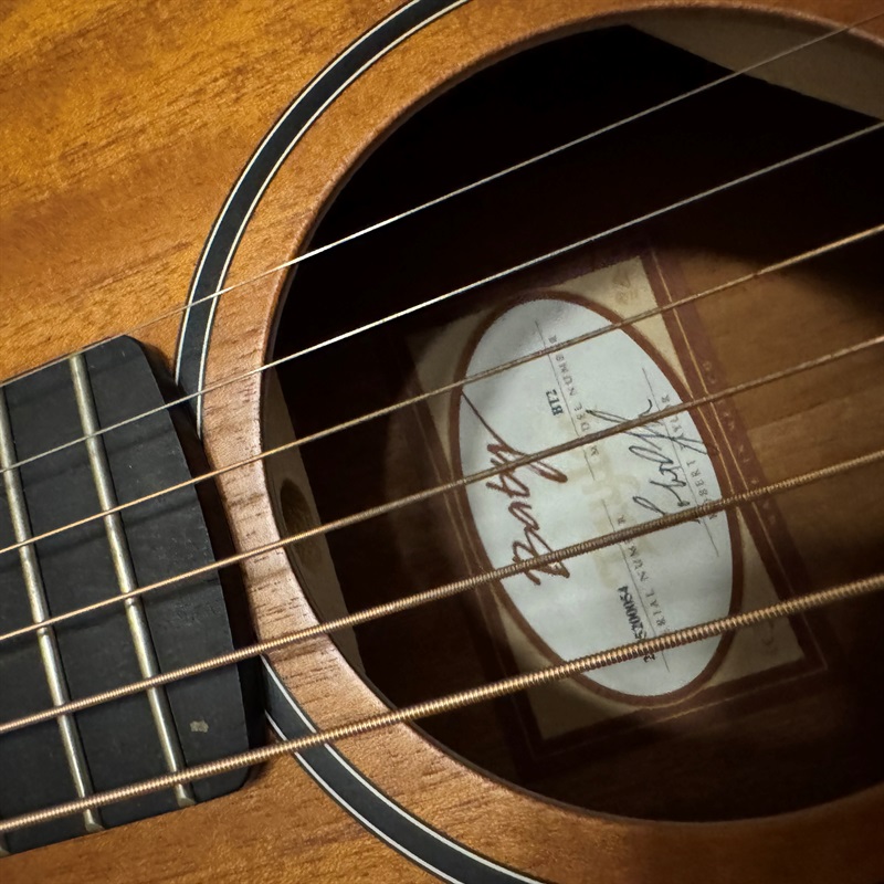 TAYLOR Baby Taylor Mahogany (BT2)の画像